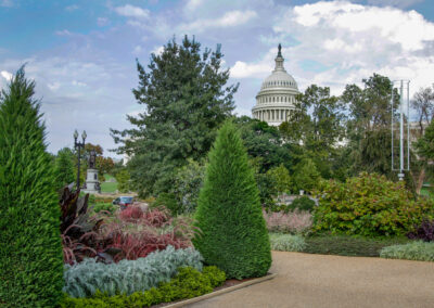 Botanical Garden - © dkfielding / iStock / Getty Images Plus