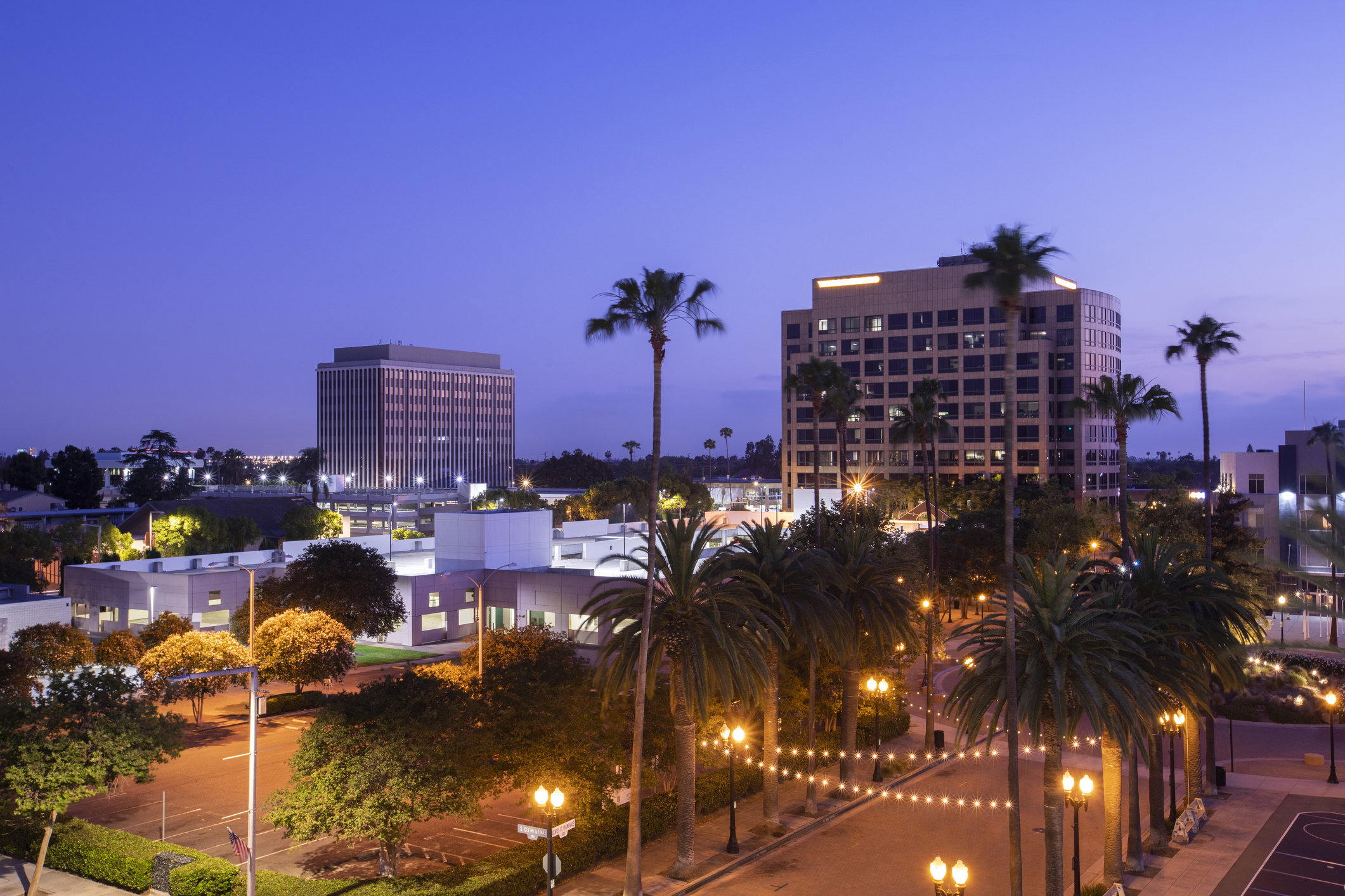 Twilight palm tree framing the skyline of downtown Anaheim, California, USA.