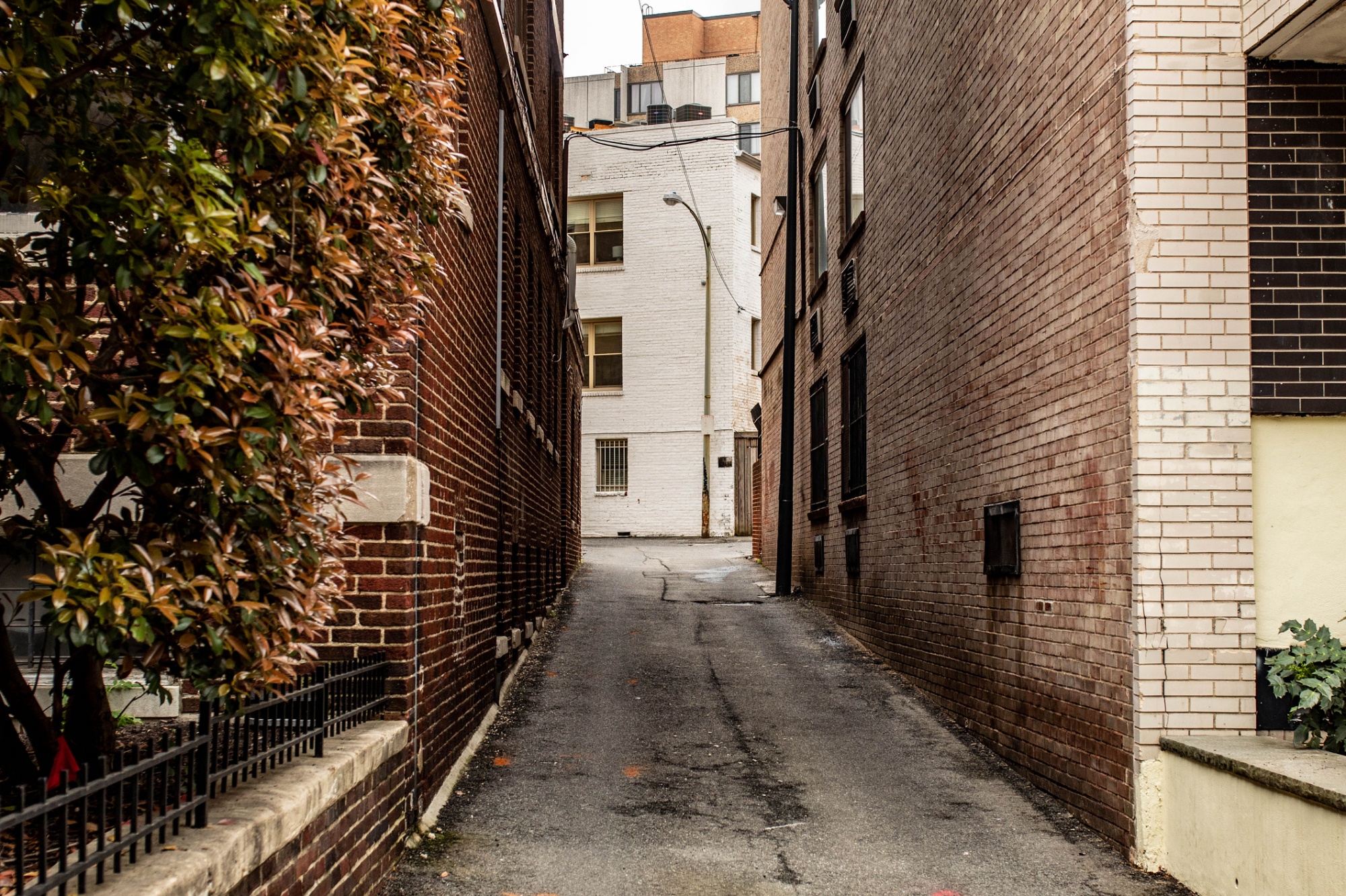 Washington D.C. Architecture in alley, © Kelvin Sterling Scott / iStock / Getty Images Plus